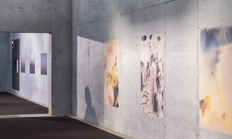 tentoonstelling